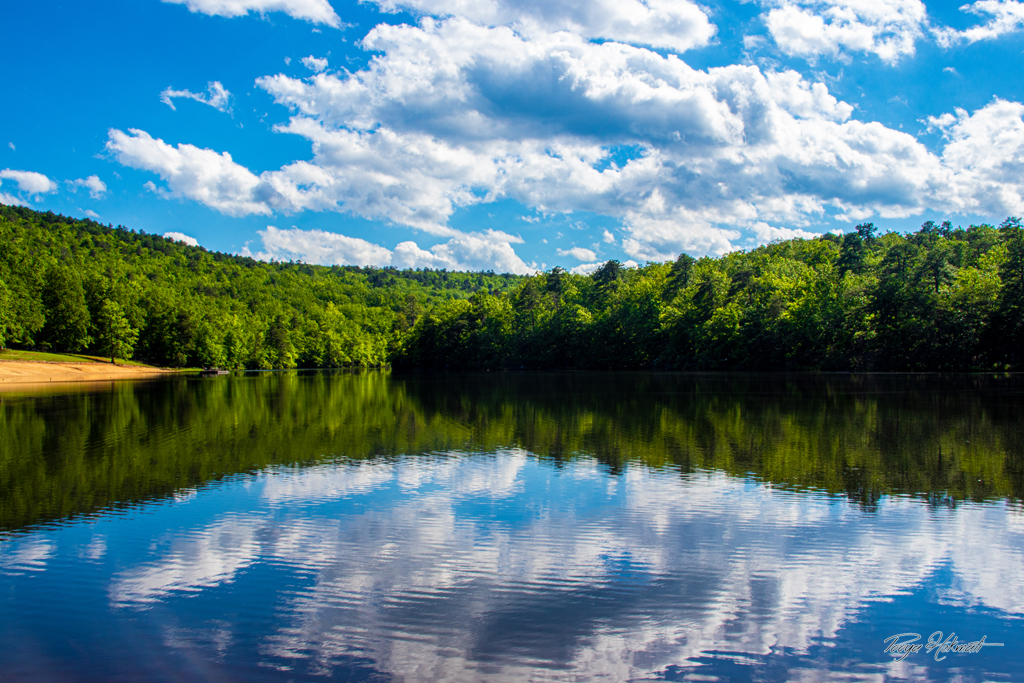 Wildlife & Wilderness