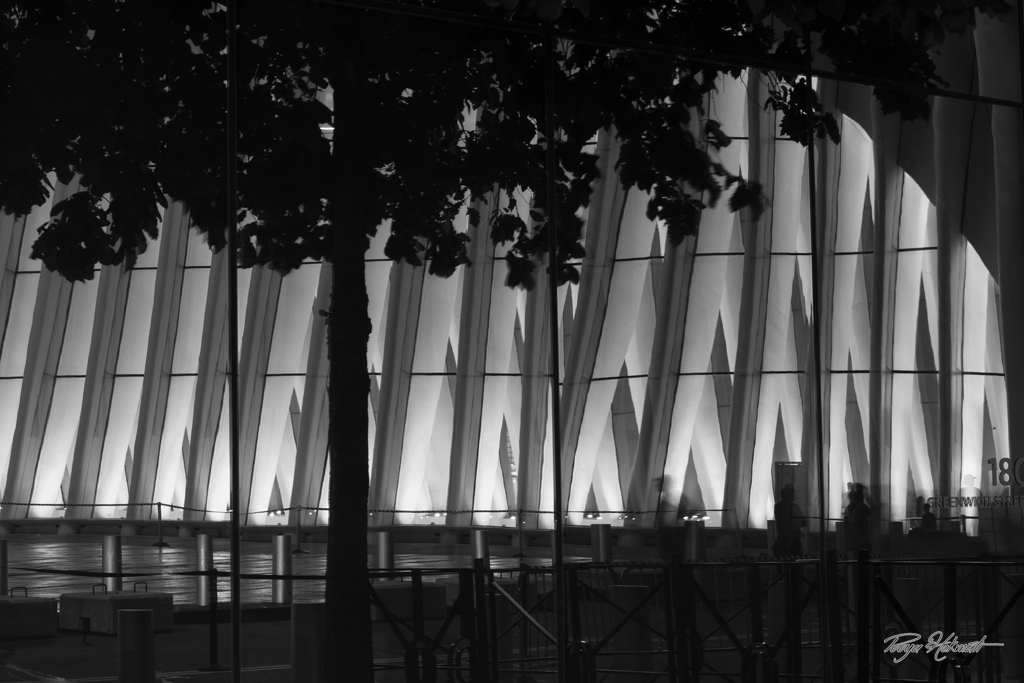 Reflections of Motion The Oculus in Black and White