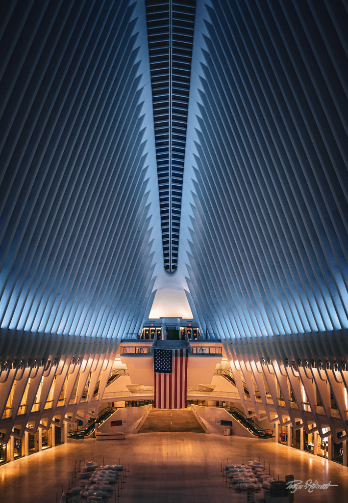 Cathedral of Transit The Oculus in Light and Shadow