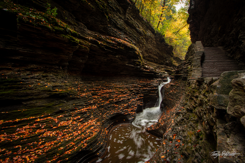 Whispers of the Gorge