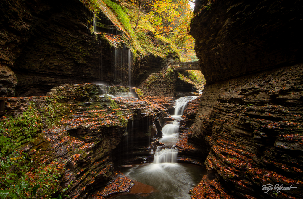 The Hidden Falls of Autumn